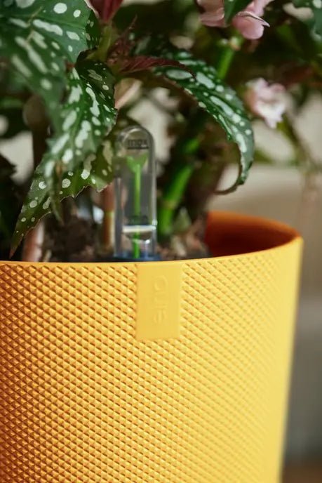 Elho 23cm Amber Yellow Jazz Round Recycled Plastic Pot - Old Railway Line Garden Centre