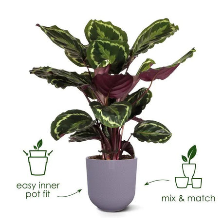 Elho 23cm Lavender Lilac Jazz Round Recycled Plastic Pot - Old Railway Line Garden Centre