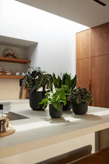 Elho 23cm Living Black Jazz Round Recycled Plastic Pot - Old Railway Line Garden Centre