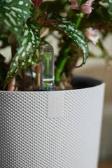 Elho 23cm Silky White Jazz Round Recycled Plastic Pot - Old Railway Line Garden Centre