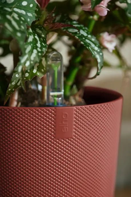 Elho 23cm Tuscan Red Jazz Round Recycled Plastic Pot - Old Railway Line Garden Centre
