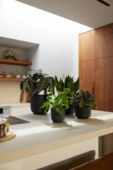 Elho 26cm Living Black Jazz Round Recycled Plastic Pot - Old Railway Line Garden Centre