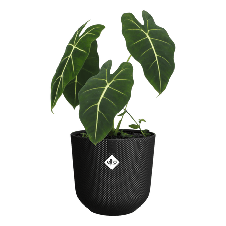 Elho 26cm Living Black Jazz Round Recycled Plastic Pot - Old Railway Line Garden Centre