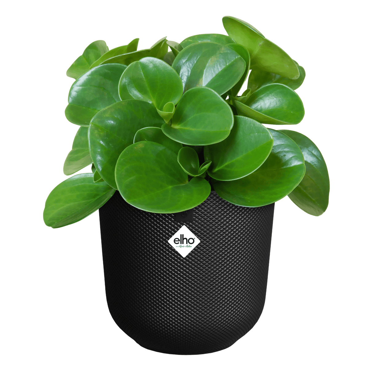 Elho 26cm Living Black Jazz Round Recycled Plastic Pot - Old Railway Line Garden Centre