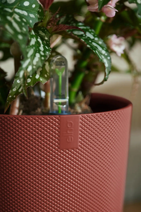 Elho 26cm Tuscan Red Jazz Round Recycled Plastic Pot - Old Railway Line Garden Centre