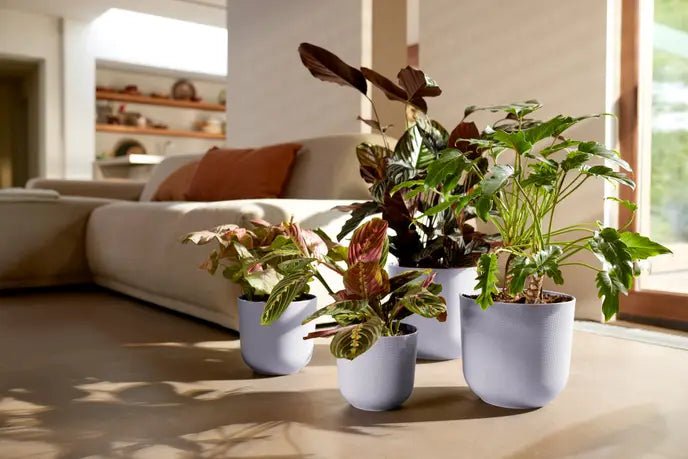 Elho 30cm Lavender Lilac Jazz Round Recycled Plastic Pot - Old Railway Line Garden Centre