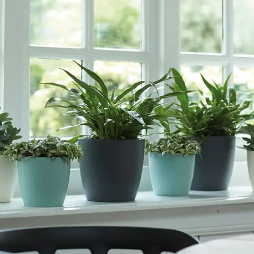 Elho 30cm Pairs Flower Pot - Anthracite