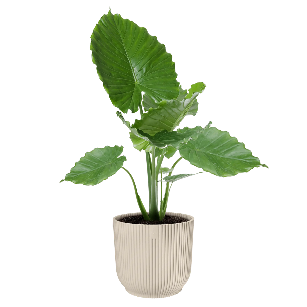 Elho 30cm Vibes Fold Round Plant Pot - White Linen