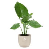 Elho 30cm Vibes Fold Round Plant Pot - White Linen - Old Railway Line Garden Centre