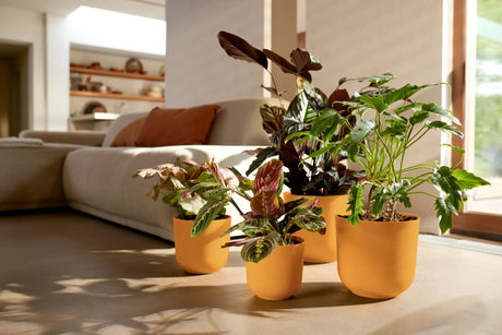 Elho 35cm Amber Yellow Jazz Round Recycled Plastic Pot - Old Railway Line Garden Centre