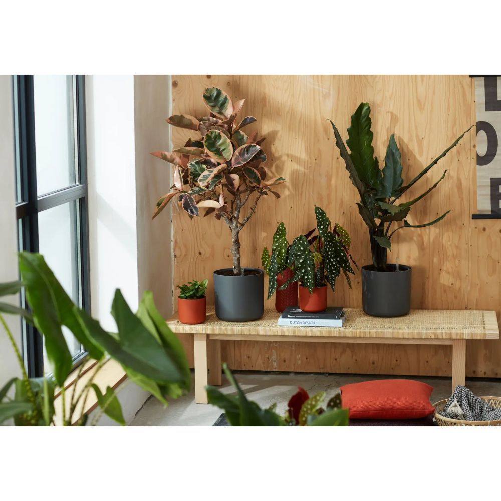 Elho 35cm Anthracite B.For Soft Round Pot - Old Railway Line Garden Centre