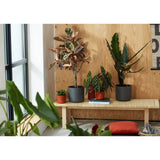 Elho 35cm Anthracite B.For Soft Round Pot - Old Railway Line Garden Centre