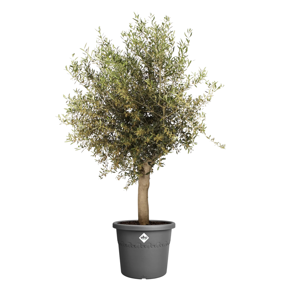 Elho 40cm Algarve Cylindro Plastic Pot - Anthracite