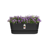 Elho 50cm Living Black Greenvillle Long Trough Planter - Old Railway Line Garden Centre