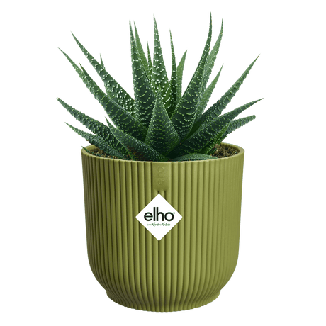 Elho 7cm Vibes Fold Round Mini Pot - Fern Green - Old Railway Line Garden Centre