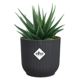 Elho 9cm Vibes Fold Round Mini Pot - Anthracite - Old Railway Line Garden Centre