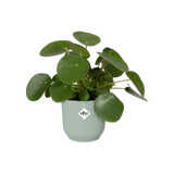 Elho 9cm Vibes Fold Round Mini Pot - Sorbet Green