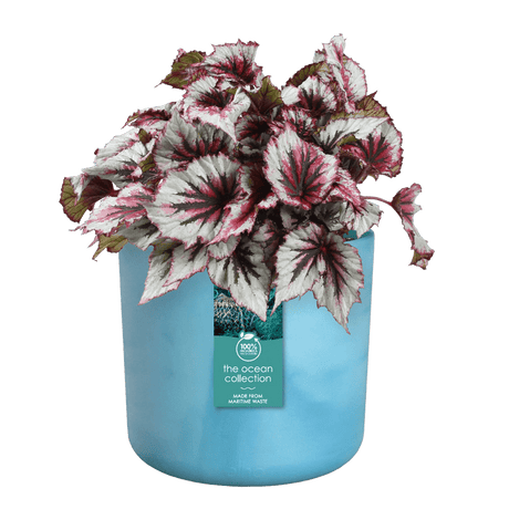 Elho Ocean Collection Atlantic Blue Recycled Waste Round Indoor Pot 14cm - Old Railway Line Garden Centre