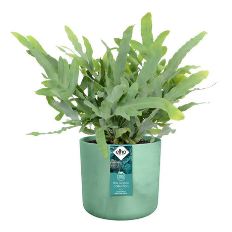 Elho Ocean Collection Pacific Green Recycled Waste Round Indoor Pot 18cm - Old Railway Line Garden Centre