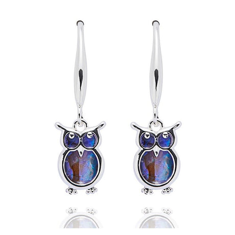 Equilibrium Paua Shell Owl Drop Earrings - Silver - Old Railway Line Garden Centre