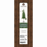 Everlands 1.5m (5ft) Alpbach Fir Artificial Christmas Tree
