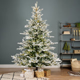 Everlands 2.1m (7ft) Grandis Fir Snowy Pre-Lit Artificial Christmas Tree