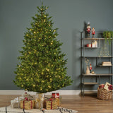 Everlands 2.4m (8ft) Nordmann Fir Pre-Lit Artificial Christmas Tree