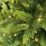 Everlands 2.4m (8ft) Nordmann Fir Pre-Lit Artificial Christmas Tree