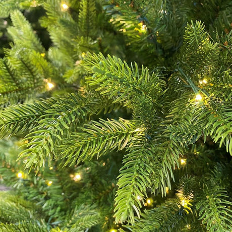 Everlands 2.4m (8ft) Nordmann Fir Pre-Lit Artificial Christmas Tree