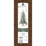 Everlands 2.1m (7ft) Snowy Balsamea Fir Artificial Christmas Tree