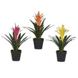 Everlands 32cm Artificial Bromelia in Black Plastic Pot (Choice of 3) - Old Railway Line Garden Centre
