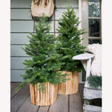 Everlands 90cm LED Grandis Pot Artificial Christmas Tree