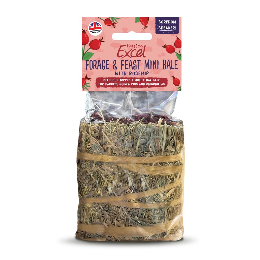 Excel Forage & Feast 100g Rosehip Mini Hay Bale