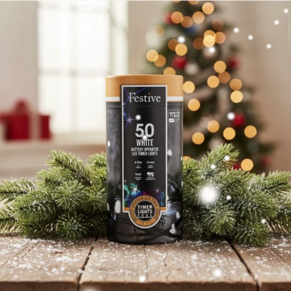 Festive 50 LED Battery Timer String Christmas String Lights - White - P066443