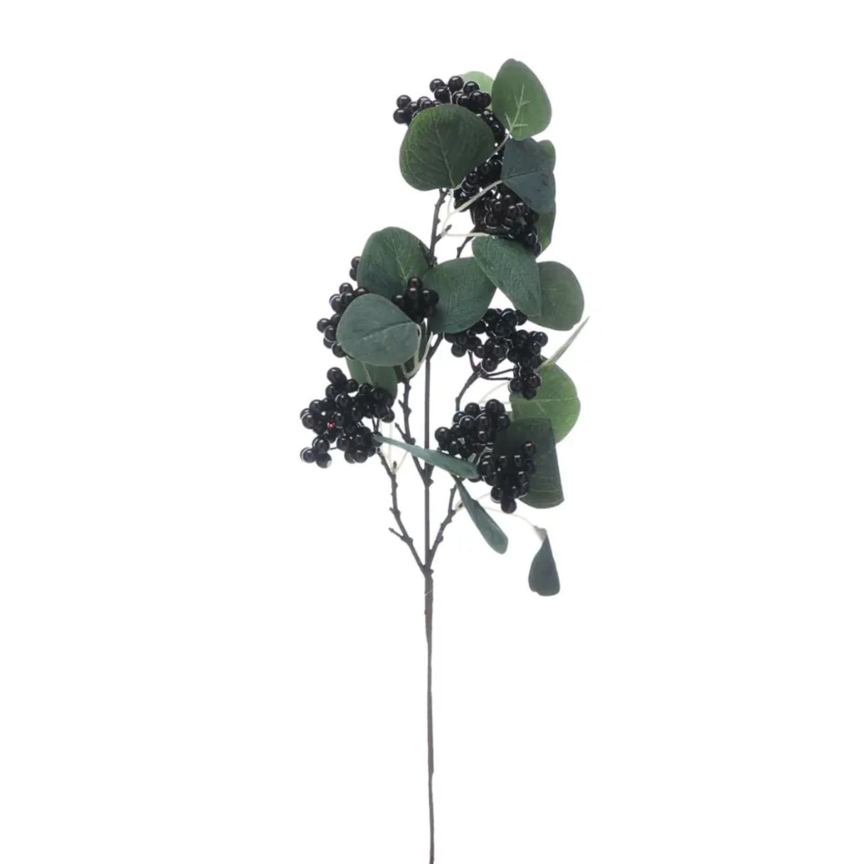 Festive 57cm Eucalyptus with Black Berries Pick