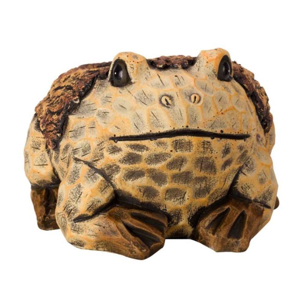 Flamboya 25cm Frog Planter
