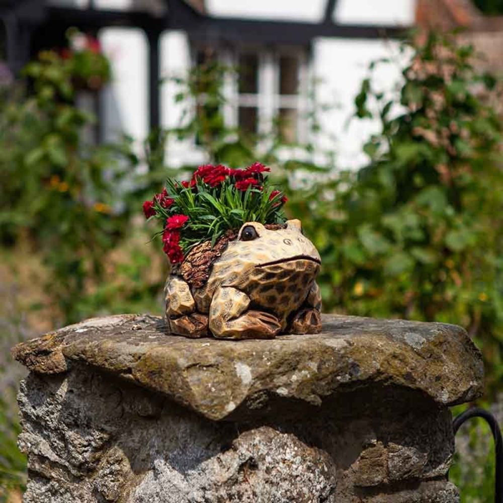 Flamboya 25cm Frog Planter