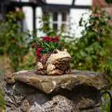 Flamboya 25cm Frog Planter