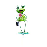 Flamboya 82cm Barmy Frog Stake (Choice of 2) - Old Railway Line Garden Centre