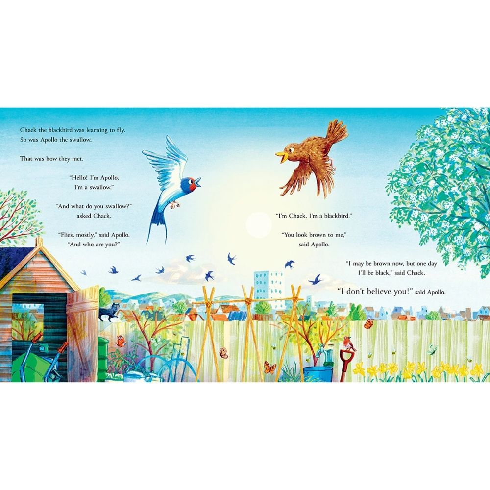 Follow the Swallow Paperback Book by Julia Donaldson