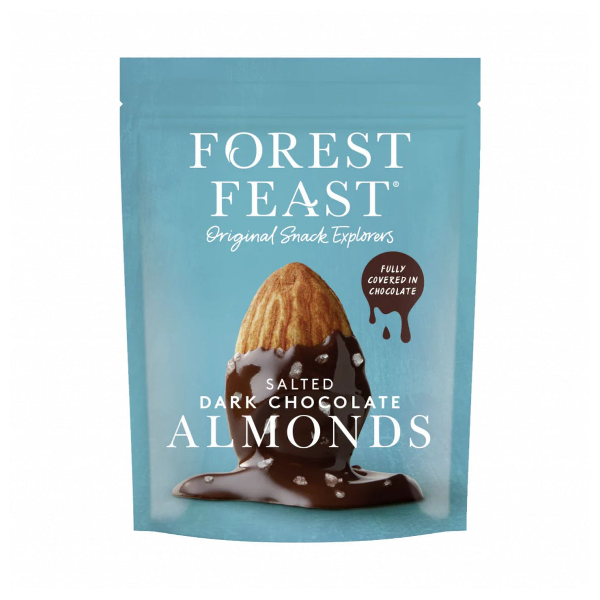 Forest Feast 270g Salted Dark Chocolate Almonds