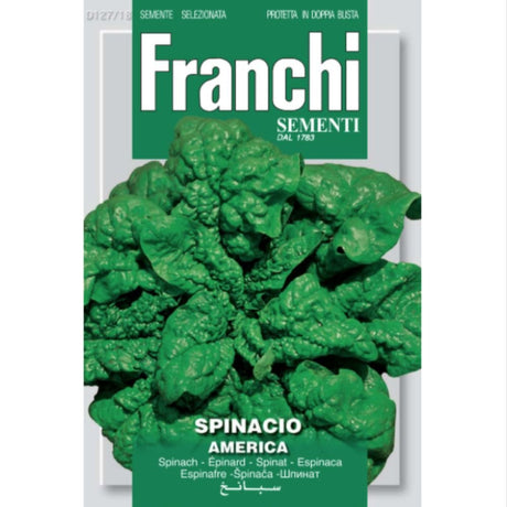 Franchi Sementi America Spinach Seeds - Old Railway Line Garden Centre