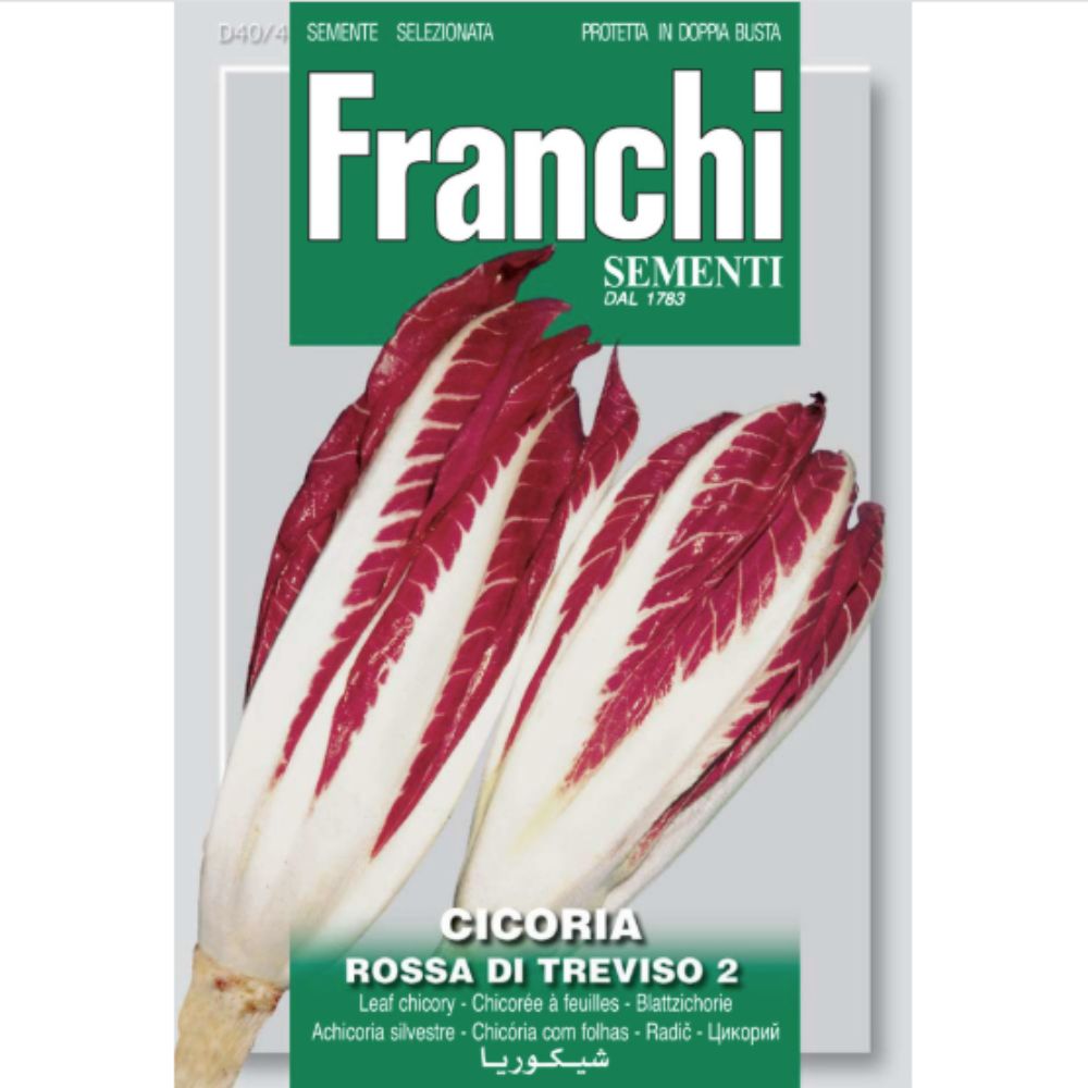 Franchi Sementi Cicoria Radicchio Seeds