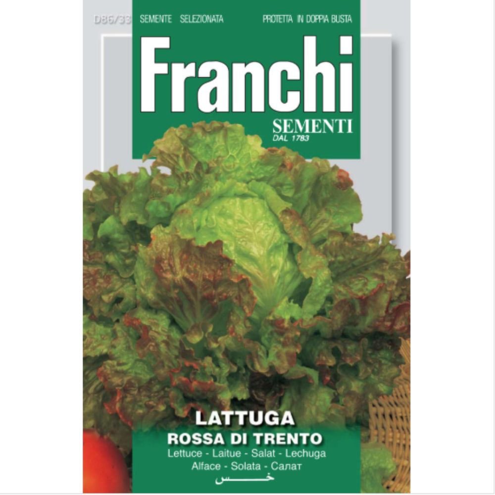 Franchi Sementi Lettuce (Lattuga) Rossa di Trento Seeds
