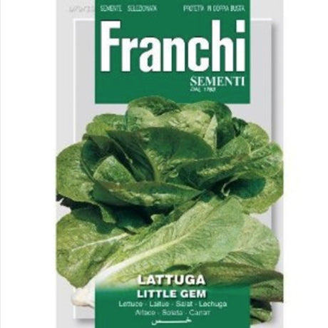 Franchi Sementi Little Gem Lettuce Seeds - Old Railway Line Garden Centre