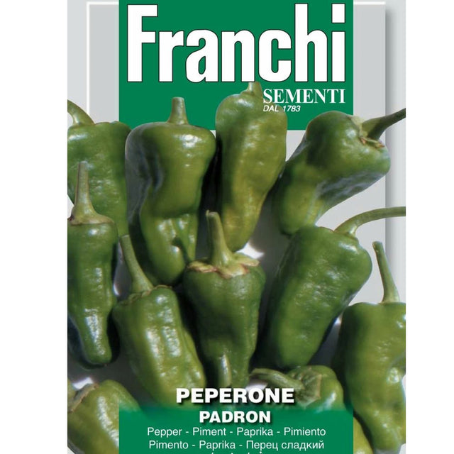 Franchi Sementi Padron Chilli Pepper Seeds - Old Railway Line Garden Centre