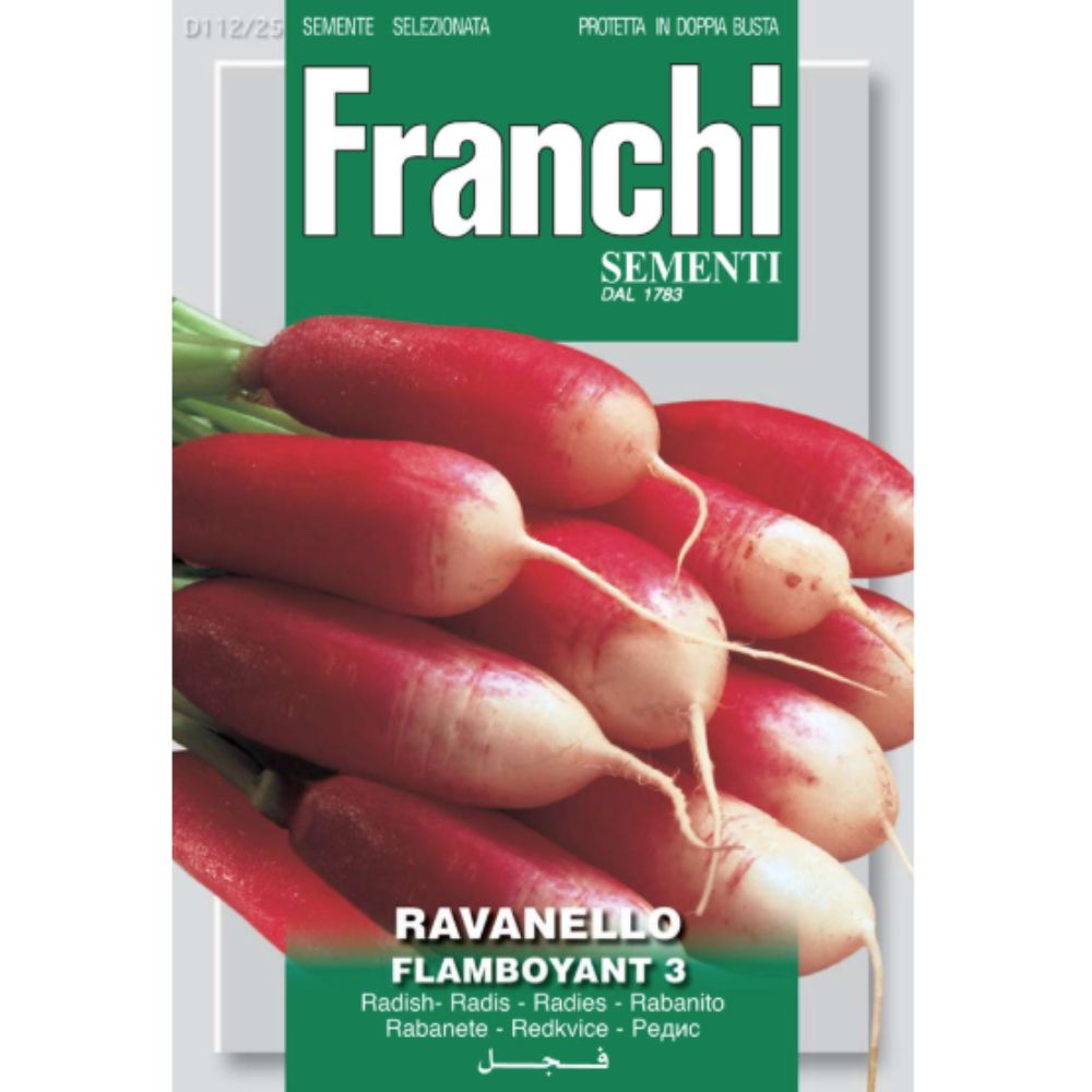 Franchi Sementi Radish (Ravenello) Flamboyant Seeds