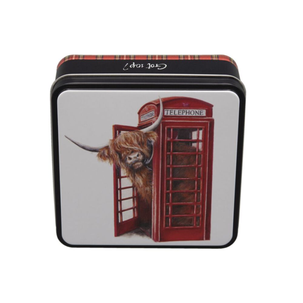 Gardiners of Scotland 120g Got 10p Clotted Cream Fudge Tin
