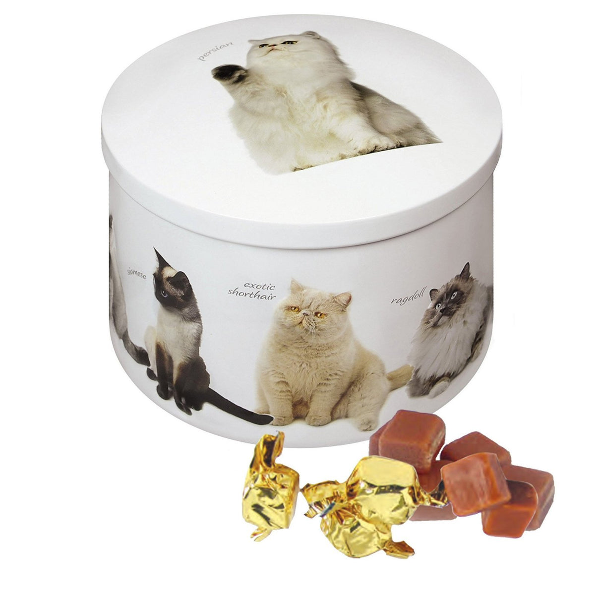 Gardiners of Scotland 200g Cat Tin Filled with Vanilla Fudge