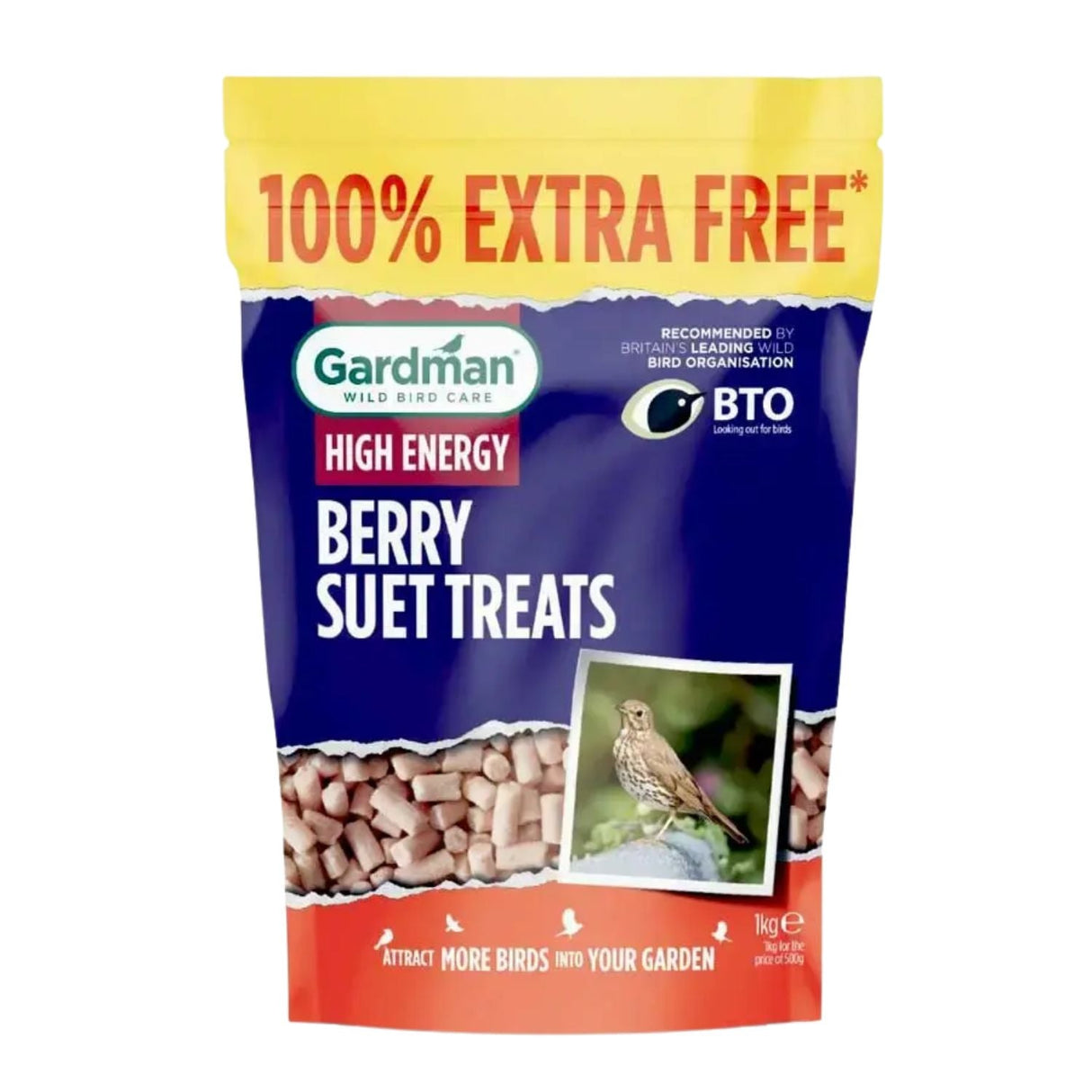 Gardman 500g Berry Suet Treats - Old Railway Line Garden Centre